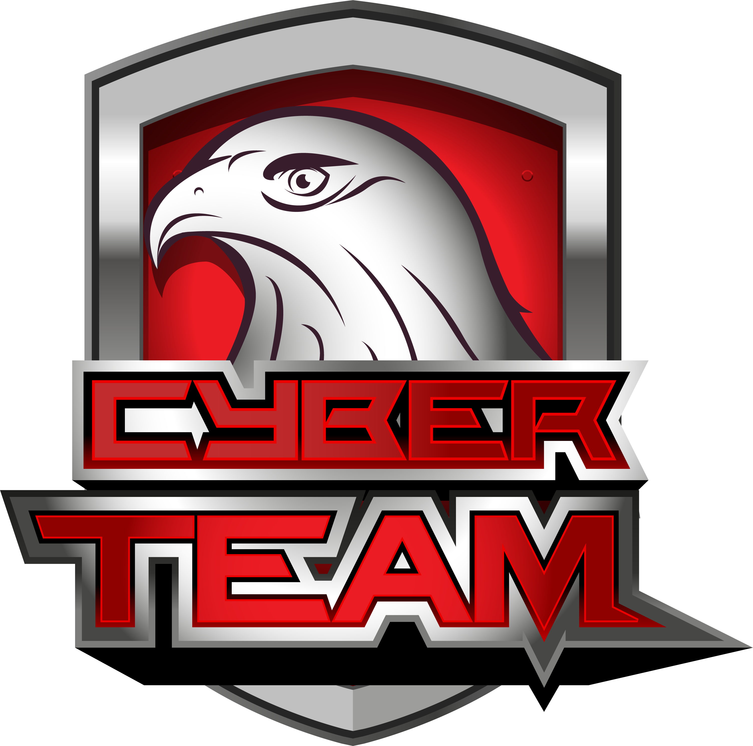 Cyber Team